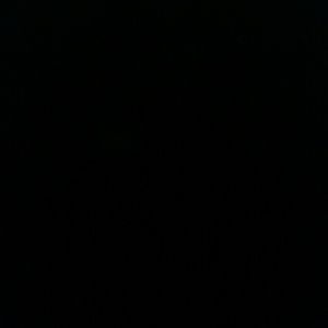 Meet your Posher, Felix